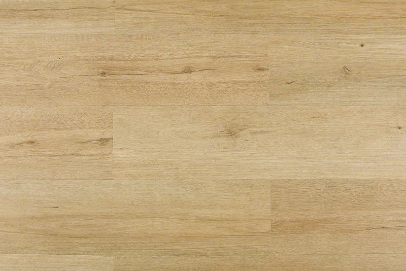 Omnia Bonafide Canvas 9x60 EIR Micro-Bevel 20mil SPC Vinyl Flooring