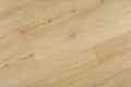 Omnia Bonafide Canvas 9x60 EIR Micro-Bevel 20mil SPC Vinyl Flooring