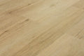 Omnia Bonafide Canvas 9x60 EIR Micro-Bevel 20mil SPC Vinyl Flooring