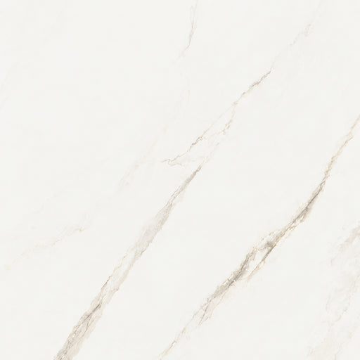 Omnia Calacatta 48x48 Levigato marble look porcelain tile with a white background and subtle gray and beige veining.