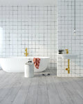 Opus Edged Paloma 9x60 EIR Painted Bevel 20mil WPC Vinyl Flooring