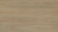 Opus Edition Taupe 9x60 EIR Painted Bevel 20mil WPC Vinyl Flooring