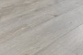 Opus Sourced Platinum 9x60 EIR Painted Bevel 20mil WPC Vinyl Flooring