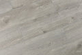Opus Sourced Platinum 9x60 EIR Painted Bevel 20mil WPC Vinyl Flooring