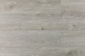 Opus Sourced Platinum 9x60 EIR Painted Bevel 20mil WPC Vinyl Flooring