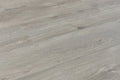 Opus Sourced Platinum 9x60 EIR Painted Bevel 20mil WPC Vinyl Flooring