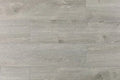 Opus Sourced Platinum 9x60 EIR Painted Bevel 20mil WPC Vinyl Flooring