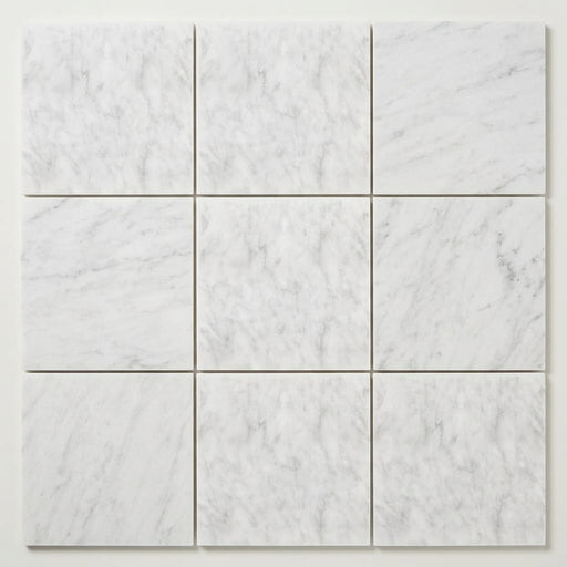 Oriental White (Asian Statuary) Marble 12x12 Honed Tile close-up