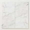 Oriental White (Asian Statuary) Marble 12x24 Honed Tile close-up