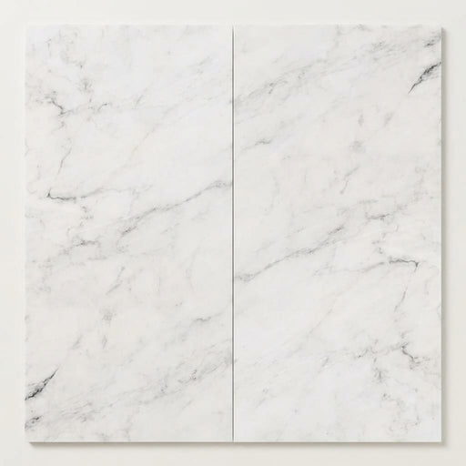 Oriental White (Asian Statuary) Marble 12x24 Honed Tile close-up