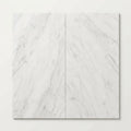 Oriental White (Asian Statuary) Marble 18x36 Honed Tile close-up