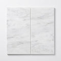 Oriental White Marble Tile 12x24 Honed close-up