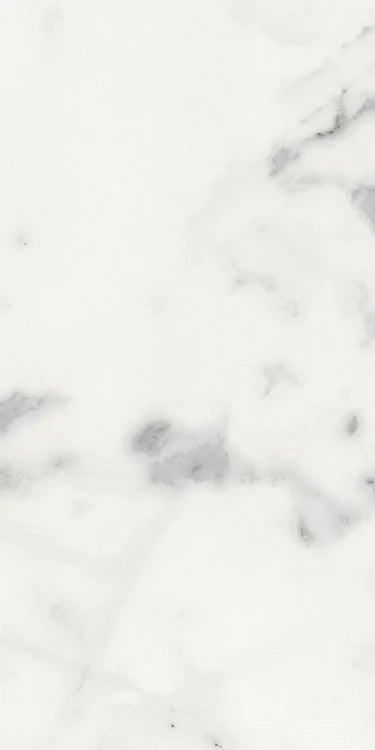 Origines Blanc 12x24 Matte Porcelain Tile