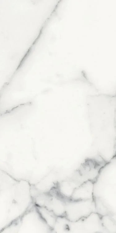 Origines Blanc 12x24 Matte Porcelain Tile