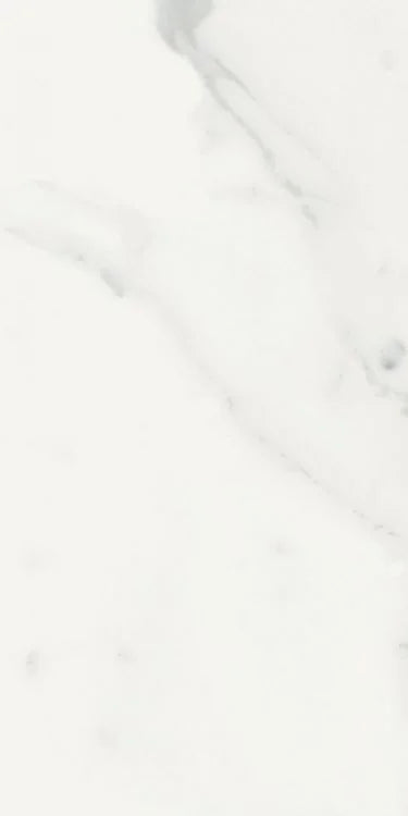 Origines Blanc 12x24 Matte Porcelain Tile