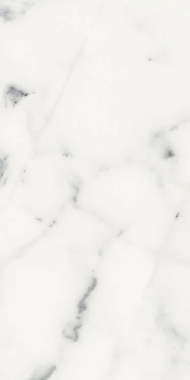 Origines Blanc 12x24 Matte Porcelain Tile