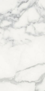 Origines Blanc 12x24 Matte Porcelain Tile