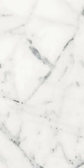 Origines Blanc 12x24 Matte Porcelain Tile
