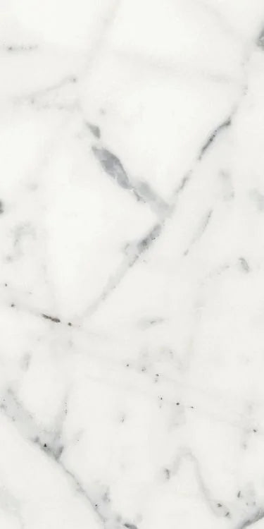 Origines Blanc 12x24 Matte Porcelain Tile