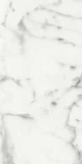 Origines Blanc 12x24 Matte Porcelain Tile