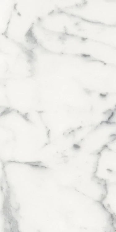 Origines Blanc 12x24 Matte Porcelain Tile