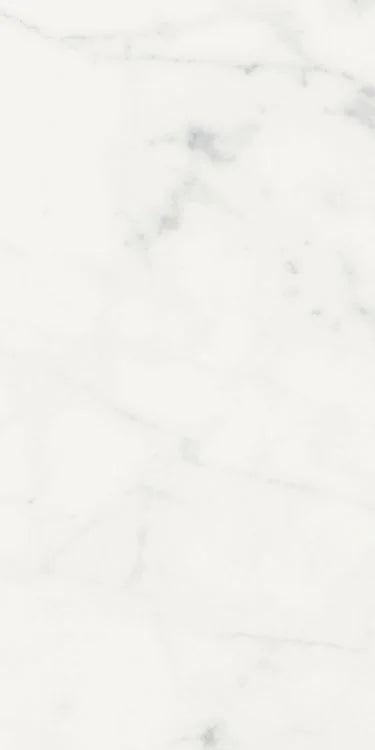 Origines Blanc 12x24 Matte Porcelain Tile