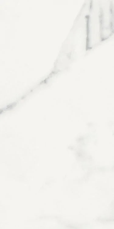 Origines Blanc 12x24 Matte Porcelain Tile