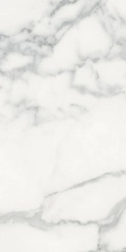 Origines Blanc 12x24 Matte Porcelain Tile