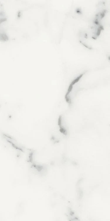 Origines Blanc 12x24 Matte Porcelain Tile