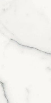 Origines Blanc 12x24 Matte Porcelain Tile