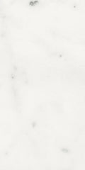 Origines Blanc 12x24 Matte Porcelain Tile