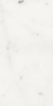 Origines Blanc 12x24 Matte Porcelain Tile