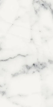 Origines Blanc 12x24 Matte Porcelain Tile