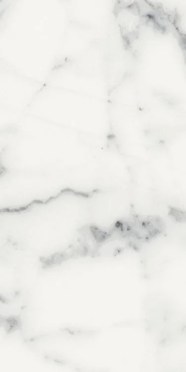 Origines Blanc 12x24 Matte Porcelain Tile