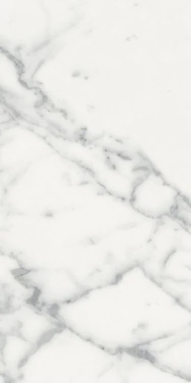 Origines Blanc 12x24 Matte Porcelain Tile