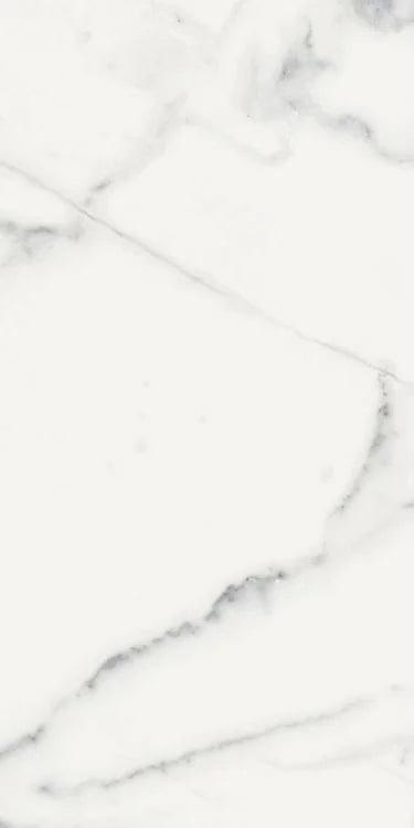 Origines Blanc 12x24 Matte Porcelain Tile