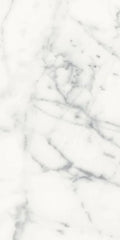 Origines Blanc 12x24 Matte Porcelain Tile