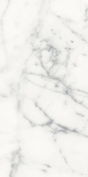 Origines Blanc 12x24 Matte Porcelain Tile