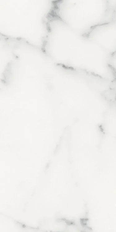 Origines Blanc 12x24 Matte Porcelain Tile