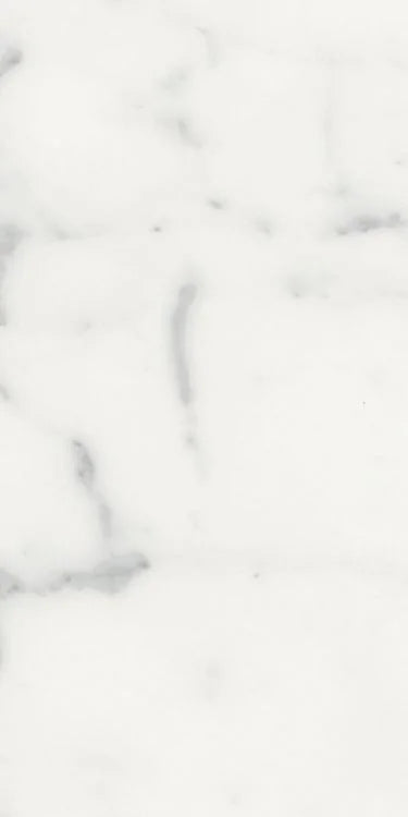 Origines Blanc 12x24 Matte Porcelain Tile