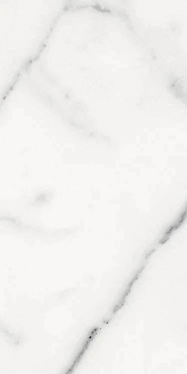 Origines Blanc 12x24 Matte Porcelain Tile