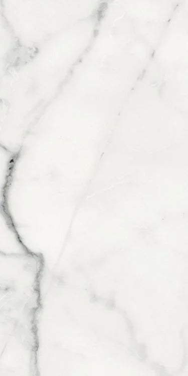 Origines Blanc 12x24 Matte Porcelain Tile