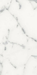 Origines Blanc 12x24 Matte Porcelain Tile