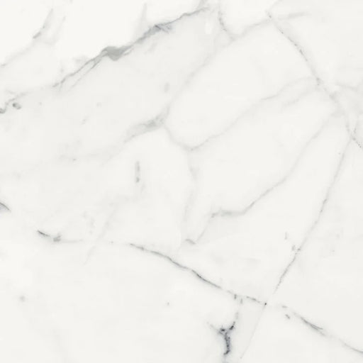 Origines Blanc 24x24 Matte Porcelain Tile