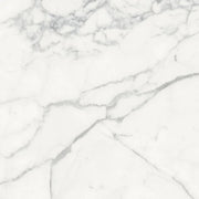 Origines Blanc 24x24 Matte Porcelain Tile