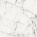 Origines Blanc 24x24 Matte Porcelain Tile
