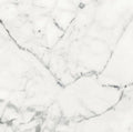 Origines Blanc 24x24 Matte Porcelain Tile