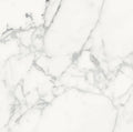 Origines Blanc 24x24 Matte Porcelain Tile