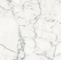 Origines Blanc 24x24 Matte Porcelain Tile