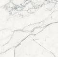 Origines Blanc 24x24 Matte Porcelain Tile